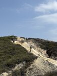 IMG_6030