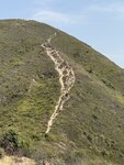 IMG_6043