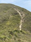 IMG_6044