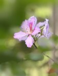 IMG_6472