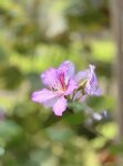 IMG_6473