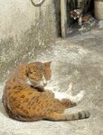 IMG_6497