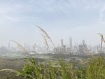 IMG_6538