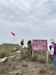 IMG_6547