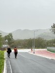 IMG_6556