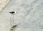 IMG_6560