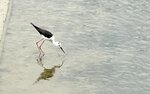 IMG_6563