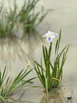 IMG_6571