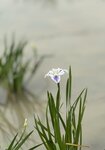IMG_6572
