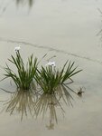 IMG_6573