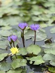 IMG_6574