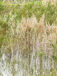 IMG_6578
