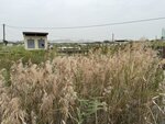 IMG_6582