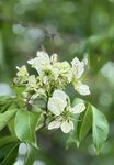 IMG_6593