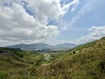 IMG_6804
