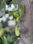 IMG_6810