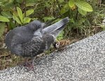 IMG_7059