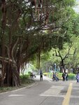 IMG_7062