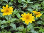 IMG_7065