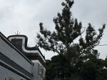 IMG_7083