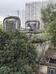 IMG_7091