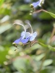 IMG_7100