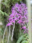IMG_7101
