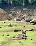 IMG_7381