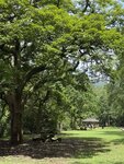 IMG_7454