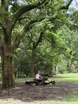 IMG_7457