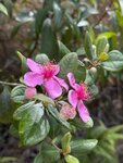 IMG_7646