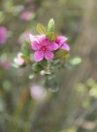 IMG_7659