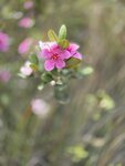 IMG_7660
