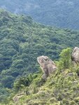 IMG_7661