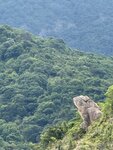 IMG_7662