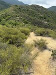 IMG_7666