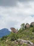 IMG_7674