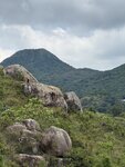 IMG_7690