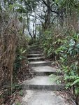 IMG_7692