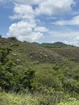 IMG_7707