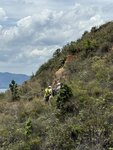 IMG_7731