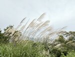 IMG_7833