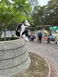 IMG_7835