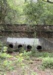 IMG_7847