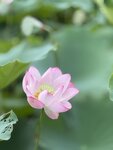 IMG_7912