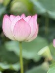 IMG_7932