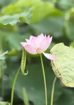 IMG_7933