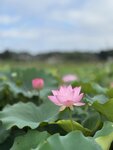 IMG_7935
