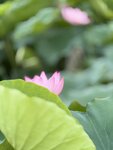 IMG_7938