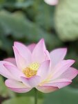 IMG_7939